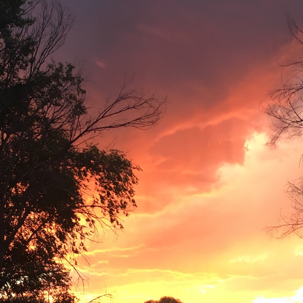 Meet your Posher, Jessi Rose